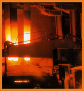 Starex, Inc is a provider of raw materials and products for industries in North America.